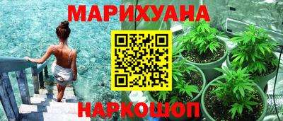 mdpv Краснознаменск