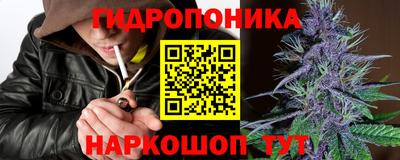 mdpv Краснознаменск