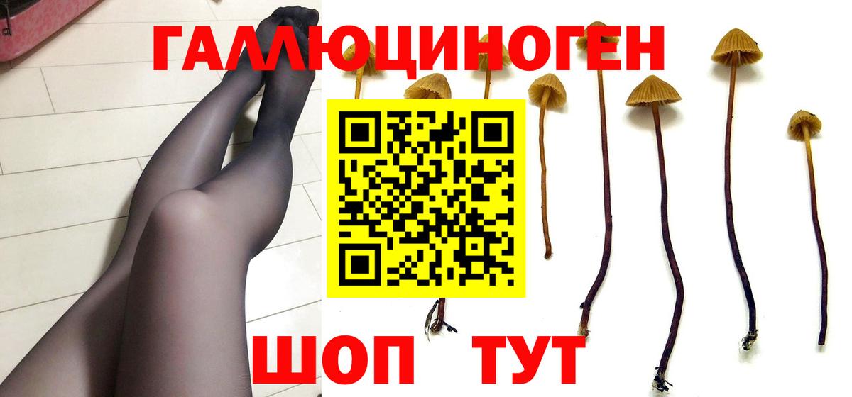 Галлюциногенные грибы GOLDEN TEACHER Качканар